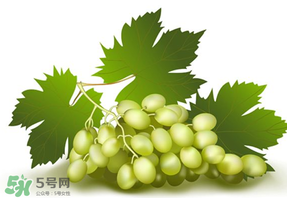 青提不能和什么一起吃？青提哪些人不能吃？