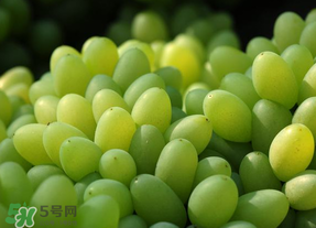 青提不能和什么一起吃？青提哪些人不能吃？