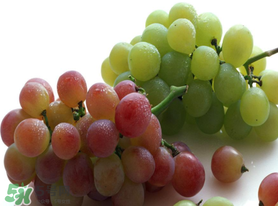 提子和櫻桃能一起吃嗎？櫻桃和提子能同食嗎?