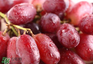 提子不能和什么一起吃？吃提子的禁忌