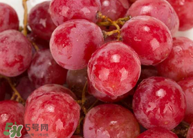 提子什么季節(jié)成熟？提子什么時候上市？