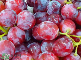 提子一天吃多少？提子一天吃幾個(gè)？