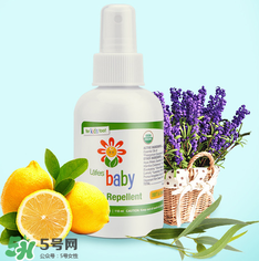 Lafe's驅蚊噴霧怎么樣？Lafe's有機防蚊液好用嗎？