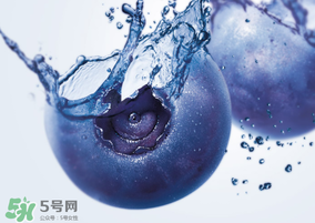 藍莓熱量高嗎？藍莓醬熱量高嗎？