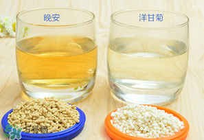 美林菊花晶一天喝幾次？美林菊花晶一天喝多少？