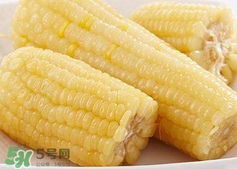 糯玉米怎么保存時間長？新鮮的糯玉米如何保存