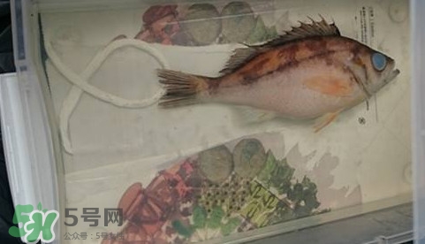 福爾馬林是什么？福爾馬林是甲醛嗎