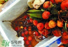 荔枝為什么要用藥水泡？荔枝藥水浸泡是否安全？