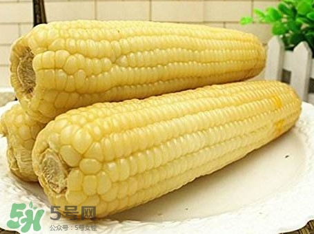 糯玉米怎么保存時間長？新鮮的糯玉米如何保存