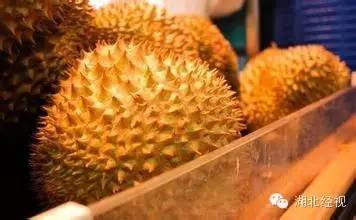 電蚊拍可以帶上火車嗎？電蚊拍可以帶上動車嗎？