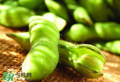 六月份可以種毛豆嗎？六月份毛豆怎么種植？