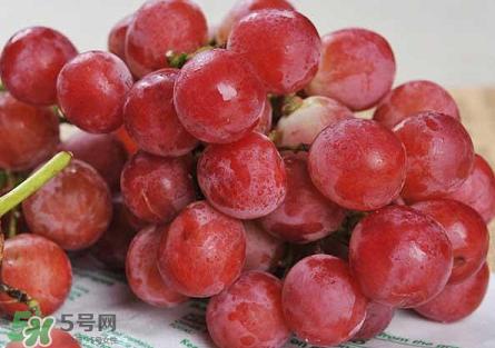 提子為什么會(huì)澀？提子澀怎么辦是沒熟嗎？