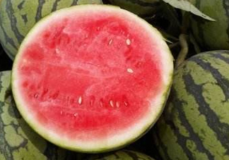 8424西瓜怎么挑？8424西瓜怎么辨別生熟？