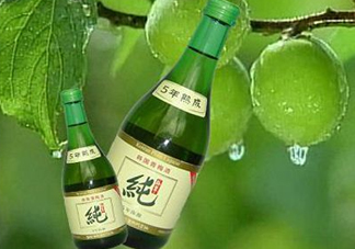 青梅酒泡多久可以喝？青梅酒好喝嗎？