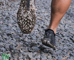 under armour跑鞋怎么樣？ua安德瑪跑步鞋實戰(zhàn)測評