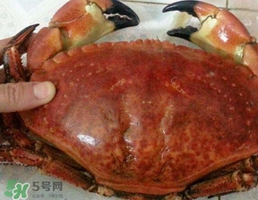 面包蟹什么時(shí)候最肥？面包蟹幾月份最肥