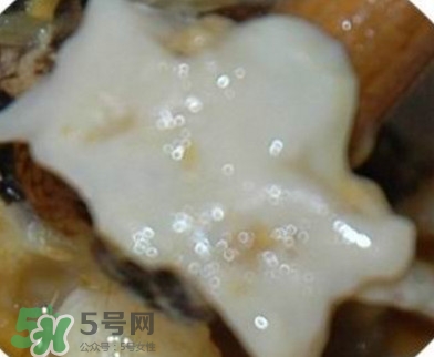 面包蟹是哪里產(chǎn)的？面包蟹哪里不能吃圖解