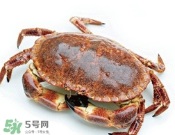 面包蟹好吃還是梭子蟹？面包蟹和梭子蟹的區(qū)別