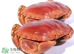 面包蟹為什么那么多黃？面包蟹為什么不能清蒸