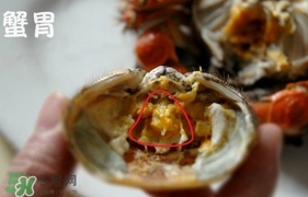 面包蟹是哪里產(chǎn)的？面包蟹哪里不能吃圖解