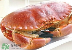 熟凍面包蟹好吃嗎？面包蟹是鮮活的好還是熟凍的好