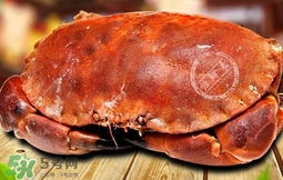 面包蟹可以直接冷凍么？熟凍面包蟹需要處理嗎