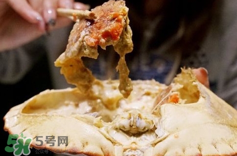 面包蟹什么季節(jié)吃最好？面包蟹什么時(shí)候最有黃