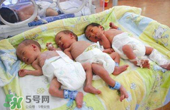 早產(chǎn)兒要喝早產(chǎn)兒奶粉嗎？早產(chǎn)兒最好喝什么奶？