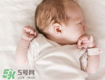 早產(chǎn)兒奶粉和普通奶粉的區(qū)別 早產(chǎn)兒奶粉的特點 早產(chǎn)兒奶粉和普通奶粉的區(qū)別 早產(chǎn)兒奶粉的特點