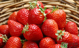 6月份還有草莓嗎？草莓6月份還有嗎？