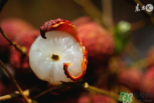 6月份有什么水果？6月份有哪些水果？