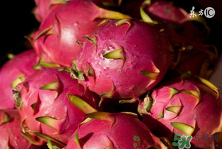 6月份有什么水果？6月份有哪些水果？