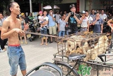 狗肉節(jié)是幾月幾號？2017玉林狗肉節(jié)是什么時候