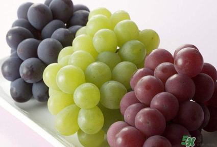 孕婦吃葡萄可以吃皮嗎？孕婦吃葡萄寶寶眼睛大