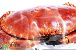 速凍面包蟹如何處理？活面包蟹怎么處理清洗