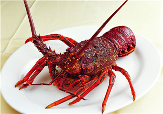 澳洲龍蝦是淡水的嗎？澳洲龍蝦是海鮮嗎？