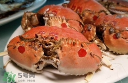 面包蟹什么季節(jié)吃最好？面包蟹什么時(shí)候最有黃