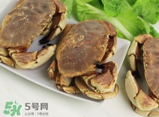 活面包蟹怎么保存？面包蟹能保存多久