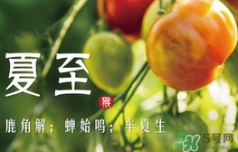 夏至是什么意思？夏至的習(xí)俗有哪些