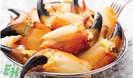 熟凍面包蟹好吃嗎？面包蟹是鮮活的好還是熟凍的好