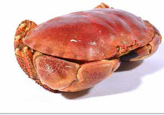 熟凍面包蟹好吃嗎？面包蟹是鮮活的好還是熟凍的好