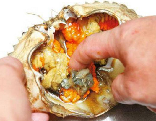 活面包蟹怎么打開？活面包蟹怎么殺