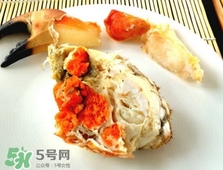 面包蟹是黃道蟹嗎？黃道蟹和面包蟹一樣嗎