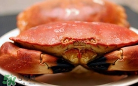 熟凍面包蟹蒸多長(zhǎng)時(shí)間？熟凍面包蟹煮多長(zhǎng)時(shí)間