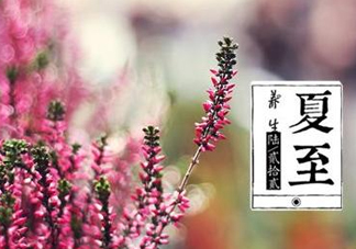 夏至是什么意思？夏至的習(xí)俗有哪些