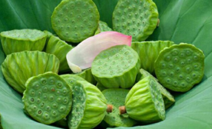 新鮮蓮子什么時候有？新鮮蓮子幾月有？
