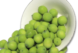 新鮮蓮子什么時候有？新鮮蓮子幾月有？