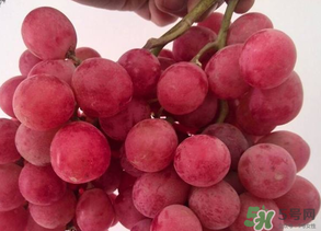 提子爛了還能吃嗎？提子壞了可以吃嗎？