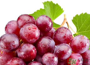 提子皮澀怎么處理？提子皮澀能吃嗎？