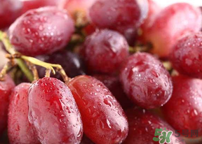 提子皮澀怎么處理？提子皮澀能吃嗎？